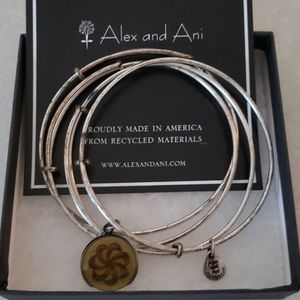 Alex and Ani 4-bangle charm bracelet